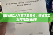 宾汉顿分校文凭之谜，揭开纽约州立大学的真实面纱