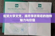 佐贺大学文凭，探寻学历背后不凡的吸引力与价值