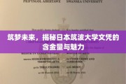 未来之桥，揭秘日本筑波大学文凭的卓越价值与无限可能