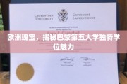 巴黎第五大学，探索欧洲教育巅峰的非凡学位之旅