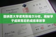 探寻田纳西大学学子辉煌成就背后的秘密档案