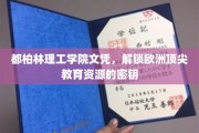 欧洲精英教育之门，都柏林理工学院文凭的无限可能