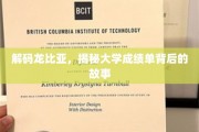 解锁学海秘码，揭秘大学成绩单中的不为人知故事