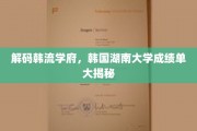 韩国湖南大学风云录，揭秘校园里的明星学霸们