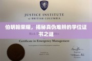伯明翰之光，揭开学历证书迷雾中的真伪迷局