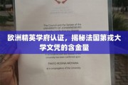 法国第戎大学精英认证，揭秘文凭的欧洲学术价值