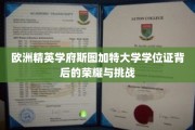 解锁斯图加特大学学位证，荣耀之路上的艰辛历程