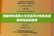 揭开伊利诺斯大学芝加哥分校成绩单背后的传奇真相