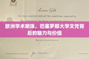 解锁巴塞罗那大学，欧洲学术瑰宝的文凭奥秘与非凡价值