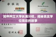 解码加州州立大学长滩分校，学位背后的不为人知传奇