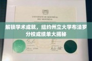 探秘学术巅峰，纽约州立布法罗分校成绩单背后的秘密解析