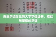 谢菲尔德哈兰姆荣耀时刻，学位证书彰显学子非凡成就
