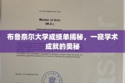 布鲁奈尔大学成绩单揭秘，一窥学术成就的奥秘