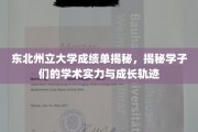 东北州立大学成绩单背后的学子实力与成长画卷