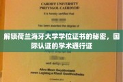 荷兰海牙大学学位证书背后的全球通行奥秘