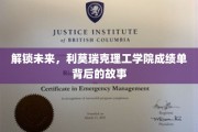 揭秘利莫瑞克理工学院，成绩单背后的创新与突破