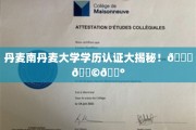 探索南丹麦大学学历认证背后的真相，丹麦教育的魅力解析🌟🇩🇰