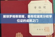 罗格斯新布伦瑞克分校，学位证背后的荣耀密码解锁之旅