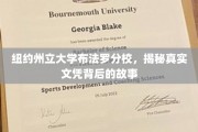 布法罗分校文凭之谜，揭开纽约州立大学背后的真实教育面纱