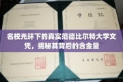 藤校荣耀背后的文凭价值，范德比尔特大学学位的深层揭秘