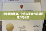 韩国明星摇篮揭秘，中央大学文凭背后的璀璨光芒