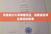 解码布鲁奈尔荣耀学位，探寻背后的传奇与真知