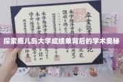 鹿儿岛大学成绩单，揭秘学术成就的神秘面纱