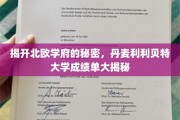探索丹麦利利贝特大学，揭开北欧教育瑰宝的成绩单面纱