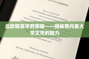 探索南丹麦大学，北欧精英教育之光下的文凭价值
