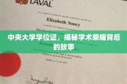中央大学学位证，揭秘学术荣耀背后的故事