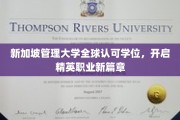 新加坡管理大学国际学位，塑造未来职场精英之路
