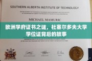 揭秘杜大传奇，杜塞尔多夫大学学位证的奥秘之旅