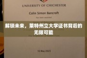探索未来之门，莱特州立大学证书引领职业新境界