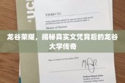 龙谷学府传奇，探寻文凭背后的真实大学风采