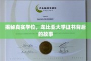 揭秘龙比亚大学，学历背后的真相与传奇
