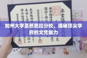 解码加州大学圣芭芭拉分校，文凭背后的名校风采