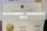 青春足迹闪耀西北，学子梦想翱翔起航