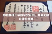 毕业证书，解锁都柏林理工学院未来无限之门