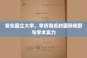 国际舞台上的学术精英，安东国立大学的国际视野与强大实力揭秘