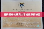 解码新布伦瑞克大学成绩单的秘密