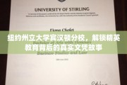 解码精英摇篮，纽约州立大学宾汉顿分校的文凭传奇