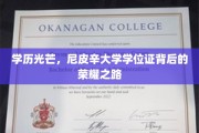 尼皮辛荣耀，探索学历光芒背后的辉煌历程