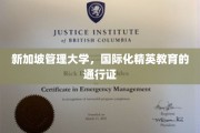 新加坡管理大学，开启国际化精英教育之旅的黄金钥匙