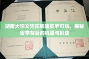 韩流中的中国文凭，湖南大学在韩国的受欢迎之谜
