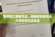 新加坡南洋理工，学位证书背后的独特魅力一瞥