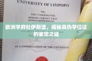 杜伊斯堡学府之谜，深度揭秘真假学位证背后的鉴定奥秘