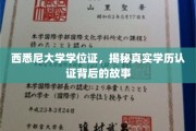 揭秘西悉尼大学学位证，学历认证背后的传奇故事