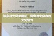 神奈川大学荣耀，解码顶尖学府文凭的非凡魅力