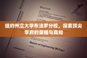 追寻智慧之光，纽约州立大学布法罗分校的辉煌历程