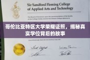 哥伦比亚特区大学学位之谜，揭开荣耀背后的真实历程